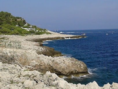 S.C.I. Saint Jean Trianon, Agence Immobilière à Saint-Jean-Cap-Ferrat