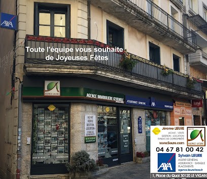 Real Estate Agency Cévenole, Agence Immobilière au Vigan
