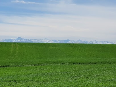 Claudine JIMENEZ GERAUD, Agence Immobilière à Grépiac