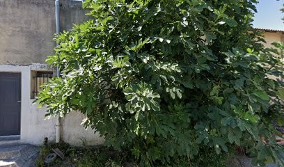 RED GROUPE- Agence d'Immobilier d'Entreprise Peynier, Agence Immobilière à Peynier