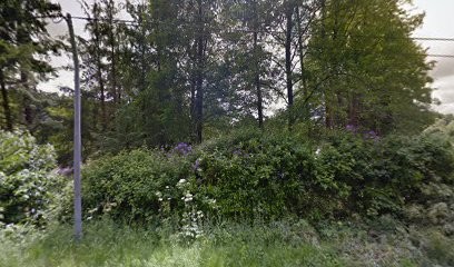 BELLEVUE IMMOBILIER, Agence Immobilière à Saint-Avaugourd-des-Landes