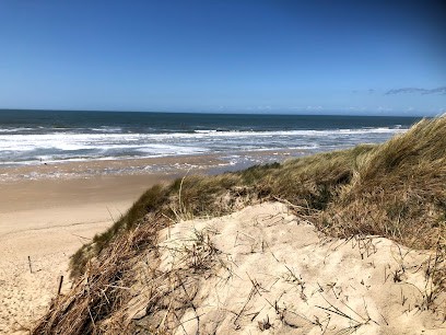 L’Auxiliaire Pharmaceutique, Agence Immobilière à Marcq-en-Baroeul