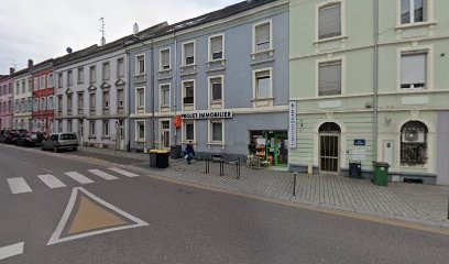 Projet Immo : Agence Immobilière, Agence Immobilière à Riedisheim