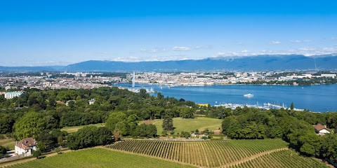 Leman Real Estate Center, Agence Immobilière à Douvaine