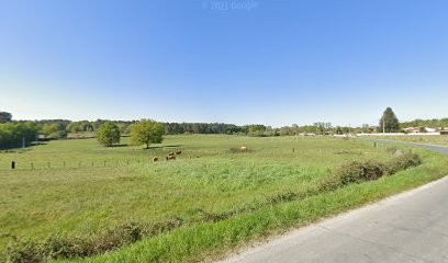 Stéphanie Vavasseur, Agence Immobilière à Lagorce