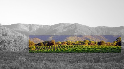 Thibaud Desprets - Propriétés & Domaines Viticoles En Provence, Agence Immobilière à La Croix-Valmer