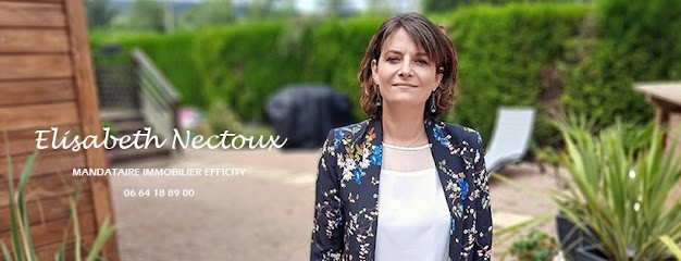 EffiCity : Elisabeth Nectoux, Agence Immobilière à Verzé