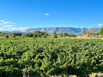 Agence Etoile Peynier, Agence Immobilière à Peynier