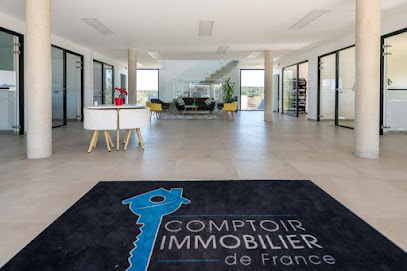 Alexandre Paget Comptoir Immobilier De France Agence Immobilière à Vernègues