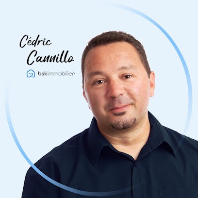 CEDRIC CANNILLO BSK IMMOBILIER, Agence Immobilière à Saint-Quentin-sur-Isère