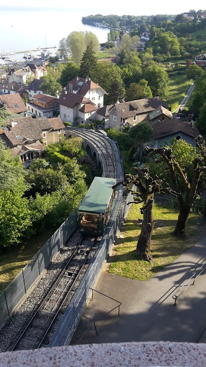 Agence Immobilière SAS VALERIE CALAME AGENCE SUISSE IMMO, Agence Immobilière à Thonon-les-Bains