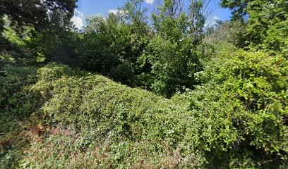 D-Habitat Paule Cassar, Agence Immobilière à Vauvert