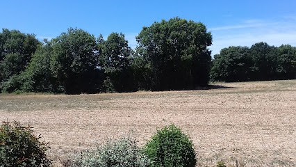 Le Sapin Bleu, Agence Immobilière à Iteuil