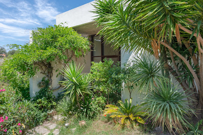 Reveal Estate International Agence Immobilière à Marseille 01