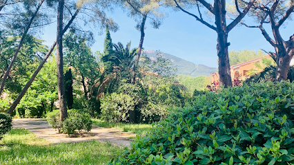 Julie Soulas Agence Immobilière à Toulon