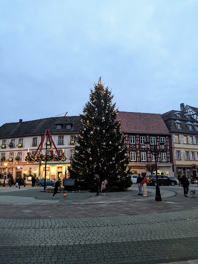 Agence Neo Concept Immobilier WISSEMBOURG, Agence Immobilière à Wissembourg