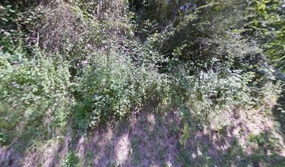 Mr VERVIALLE, Agence Immobilière à Messeix