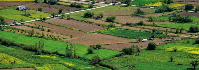 Terragence, Agence Immobilière à Gouesnou