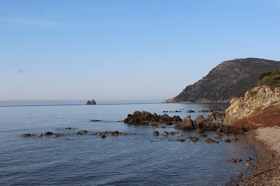 Agence de l'Avenue.Sud, Agence Immobilière à La Seyne-sur-Mer
