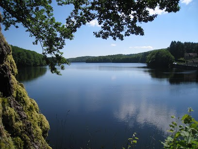 Agence MORVAN IMMOBILIER, Agence Immobilière à Lormes