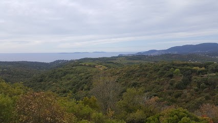 Blue Side - Propriétés Et Domaines Viticoles, Agence Immobilière à Gassin