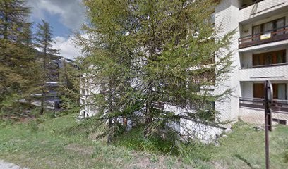 Syndic Les Edelweiss, Agence Immobilière à Vars