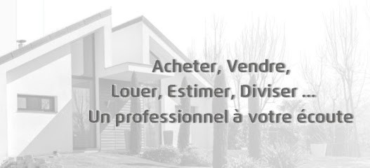 Safti Ligonniere Immobilier, Agence Immobilière à Santeny