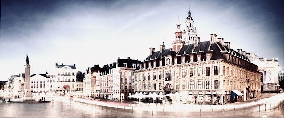 Dreossi Immobilier, Agence Immobilière à Wambrechies