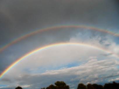 Delphine Martel - Consultante en gestion de patrimoine et immobilier, Agence Immobilière à Montrollet