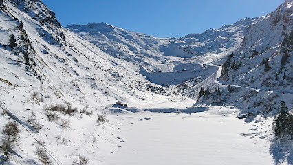 Agence Immobilière Lamy Avoriaz, Agence Immobilière à Morzine