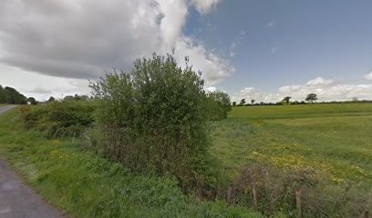 AMF Mordel, Agence Immobilière à Savenay