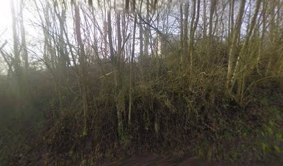 Kanitzer Pascal, Agence Immobilière à Lunéville