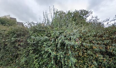 Cités Cherbourgeoises (H.L.M-SA), Agence Immobilière à Cherbourg-en-Cotentin