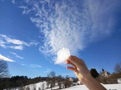 Neolia, Agence Immobilière à Luxeuil-les-Bains