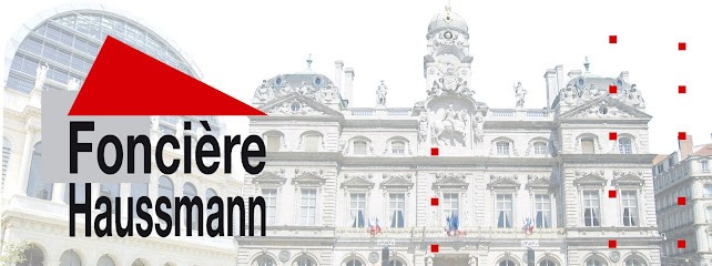 Fonciere Haussmann Rhone Alpes, Agence Immobilière à Lyon 08