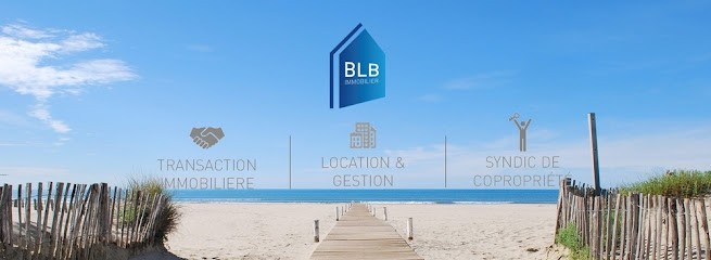 BLB Immobilier-TEMIC : Transaction, Syndic, Gestion, Location, Agence Immobilière à Vauvert