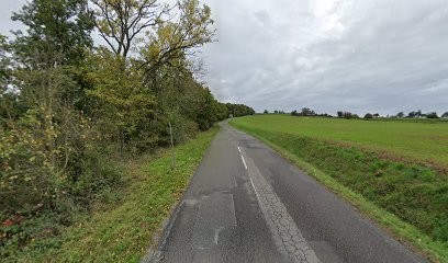 iadfrance plaine du forez, Agence Immobilière à Aveizieux