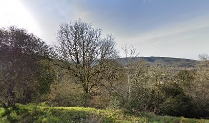 Lauvie Investissements, Agence Immobilière à Souillac