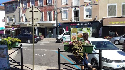 IMMO De France Meximieux, Agence Immobilière à Meximieux