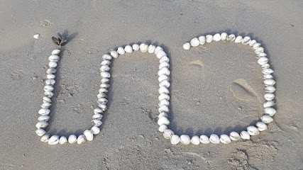 Cecile Blanchard, Agence Immobilière à Saint-Sébastien-sur-Loire