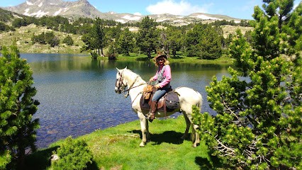 Les Camporeils, Agence Immobilière aux Angles