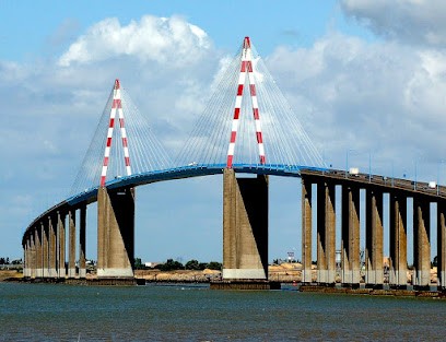 Matt immo conseil Fabrice LERAY, Agence Immobilière à Donges