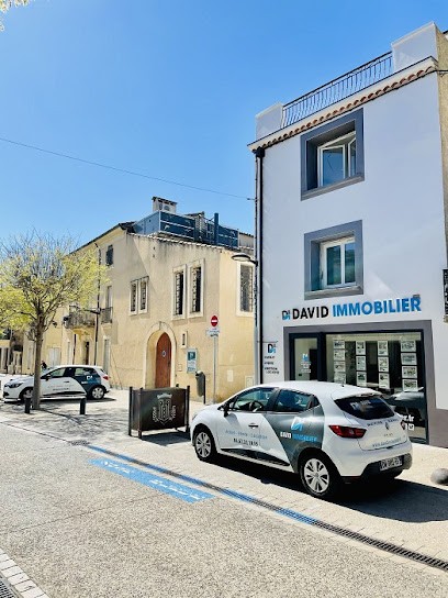 DAVID IMMOBILIER MONTBLANC (Adhérent FNAIM), Agence Immobilière à Montblanc