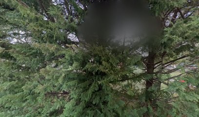 Domino, Agence Immobilière à Saint-Paul-en-Forêt