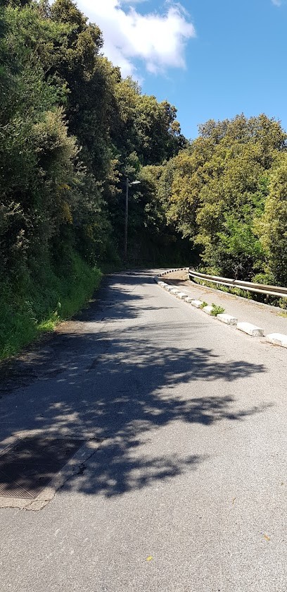 Copropriété Le Provence, Agence Immobilière à Vallauris