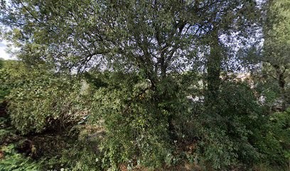 Mon Chasseur Immo, Agence Immobilière à Lorgues