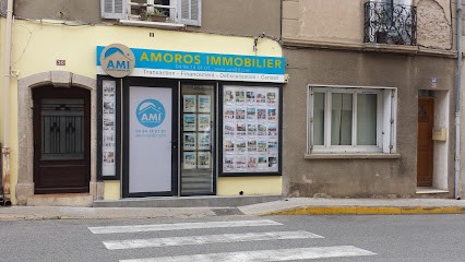 Amoros Meihdi Immobilier, Agence Immobilière à Carnoules