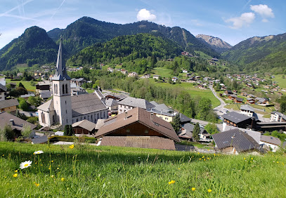 Alpine Property - St Jean D'aulps Agence Immobilière à Saint-Jean-d'Aulps