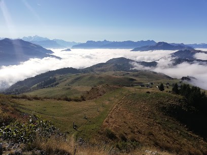 Baptiste Lepauvre - Arthurimmo.com, Agence Immobilière à Peillonnex