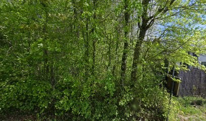 Sci Bonne Eure, Agence Immobilière à Vernon